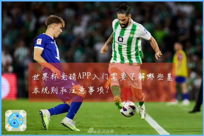世界杯竞猜APP入门需要了解哪些基本规则和注意事项？