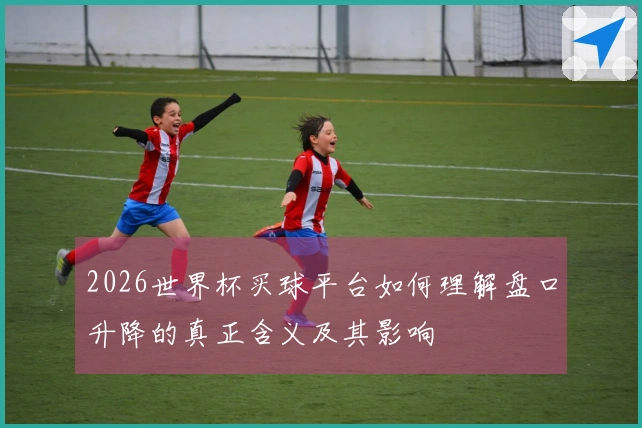 2026世界杯买球平台如何理解盘口升降的真正含义及其影响