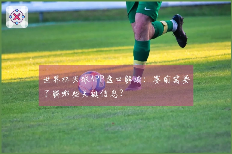 世界杯买球APP盘口解读：赛前需要了解哪些关键信息？