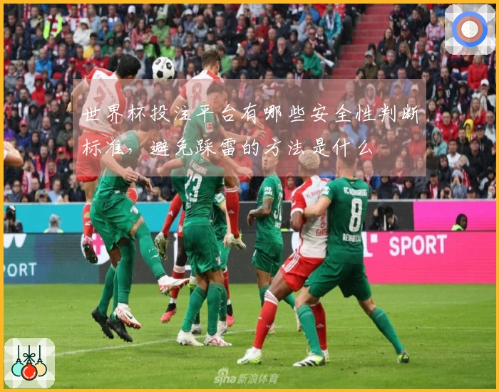 世界杯投注平台有哪些安全性判断标准，避免踩雷的方法是什么