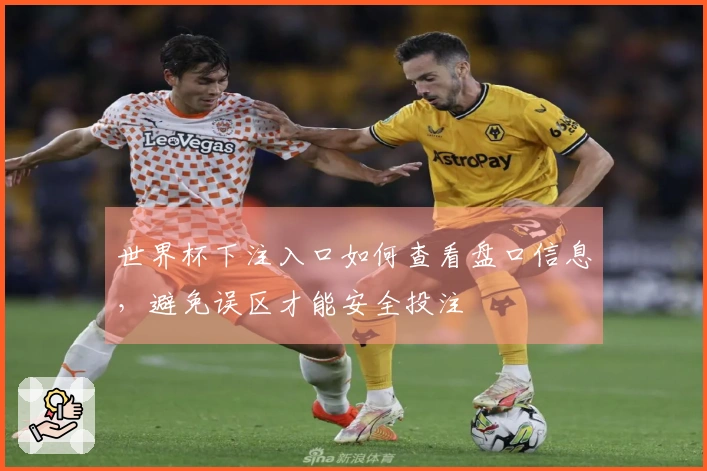 世界杯下注入口如何查看盘口信息，避免误区才能安全投注
