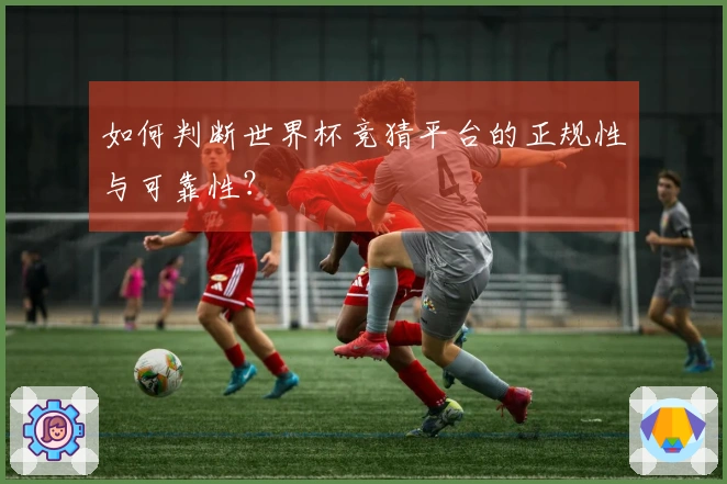 如何判断世界杯竞猜平台的正规性与可靠性？