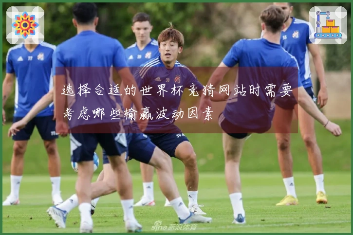 选择合适的世界杯竞猜网站时需要考虑哪些输赢波动因素