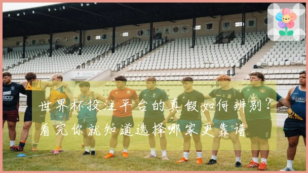 世界杯投注平台的真假如何辨别?看完你就知道选择哪家更靠谱