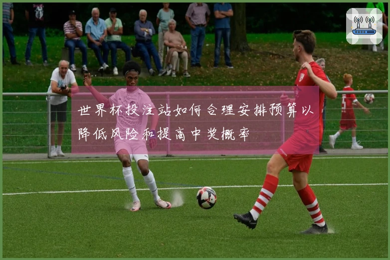 世界杯投注站如何合理安排预算以降低风险和提高中奖概率