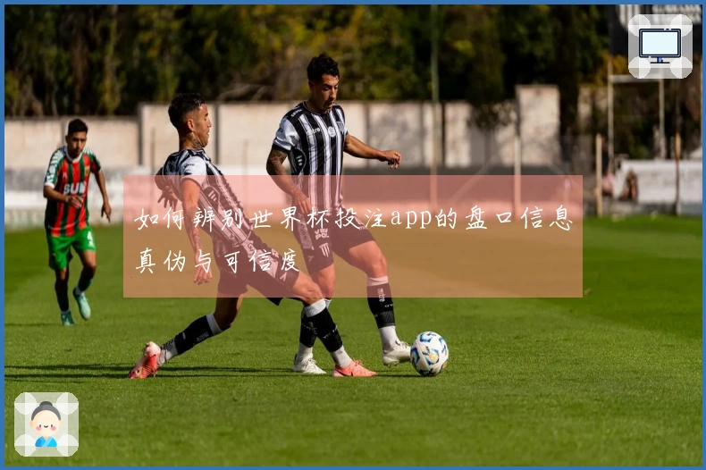 如何辨别世界杯投注app的盘口信息真伪与可信度
