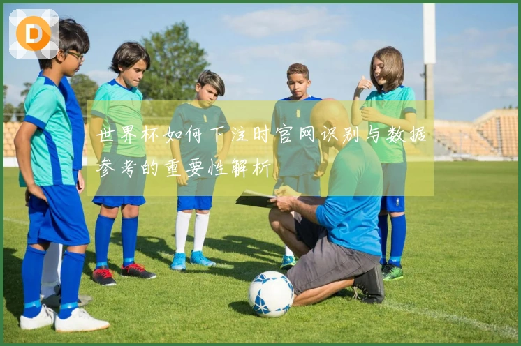 世界杯如何下注时官网识别与数据参考的重要性解析