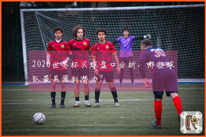 2026世界杯买球盘口分析，哪些球队最具盈利潜力？