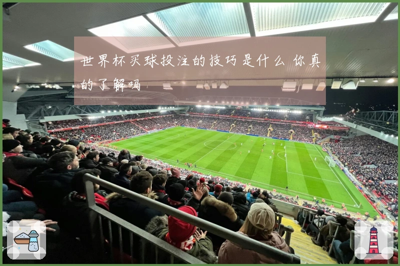 世界杯买球投注的技巧是什么 你真的了解吗