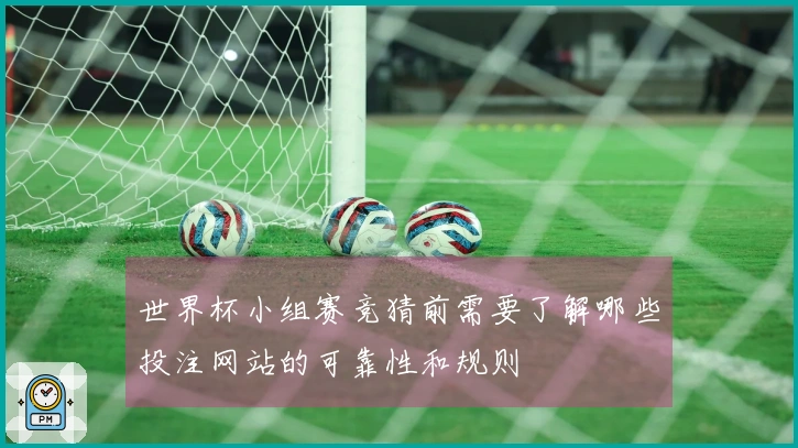 世界杯小组赛竞猜前需要了解哪些投注网站的可靠性和规则