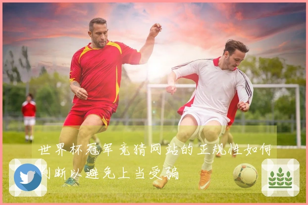 世界杯冠军竞猜网站的正规性如何判断以避免上当受骗