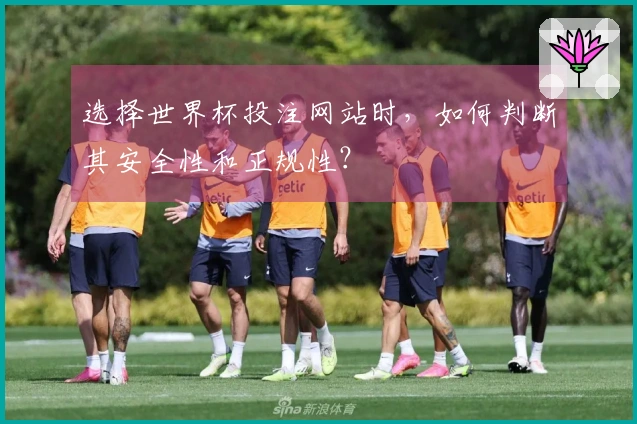 选择世界杯投注网站时，如何判断其安全性和正规性？