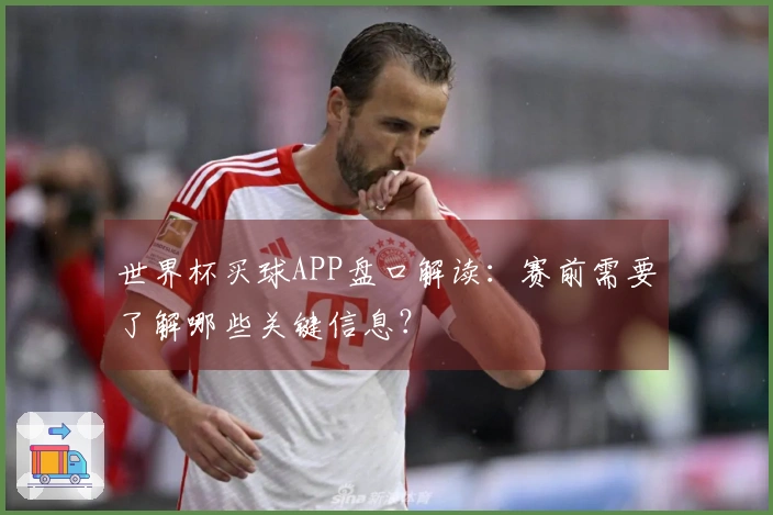 世界杯买球APP盘口解读:赛前需要了解哪些关键信息?