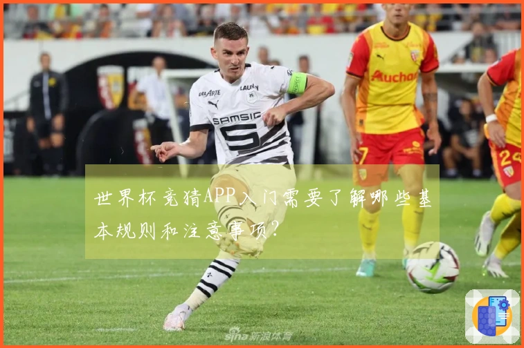 世界杯竞猜APP入门需要了解哪些基本规则和注意事项？