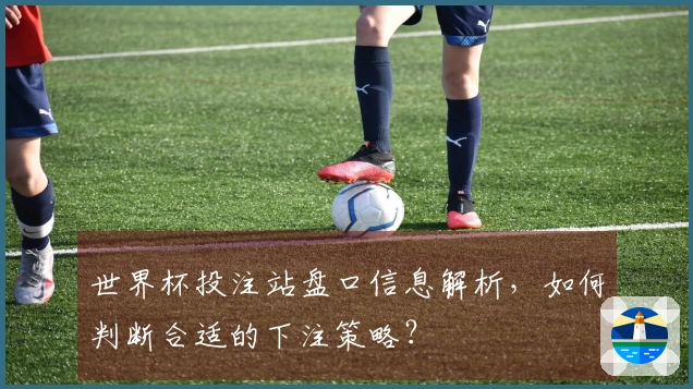 世界杯投注站盘口信息解析，如何判断合适的下注策略？