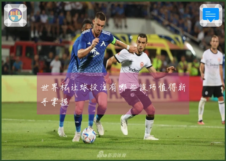 世界杯让球投注有哪些技巧值得新手掌握