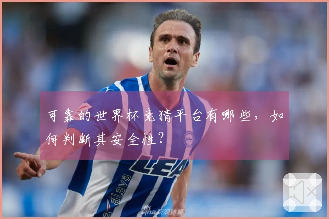 可靠的世界杯竞猜平台有哪些，如何判断其安全性？