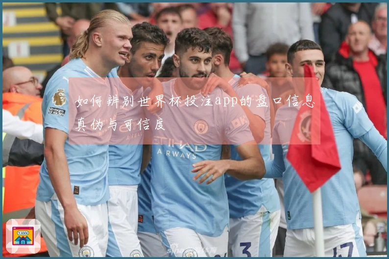 如何辨别世界杯投注app的盘口信息真伪与可信度