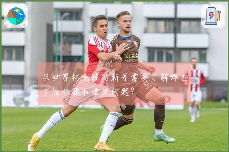 买世界杯竞猜时新手需要了解哪些下注步骤和常见问题？