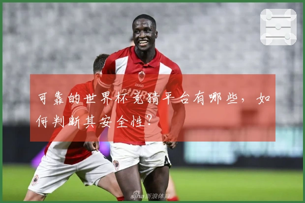 可靠的世界杯竞猜平台有哪些，如何判断其安全性？