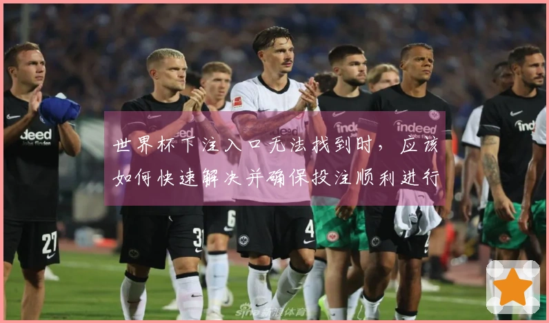 世界杯下注入口无法找到时，应该如何快速解决并确保投注顺利进行
