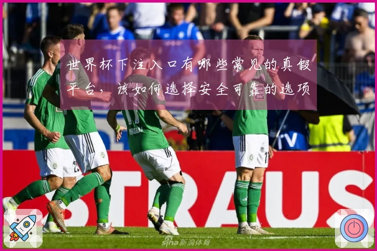 世界杯下注入口有哪些常见的真假平台，该如何选择安全可靠的选项？