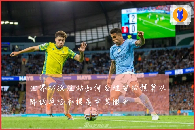 世界杯投注站如何合理安排预算以降低风险和提高中奖概率