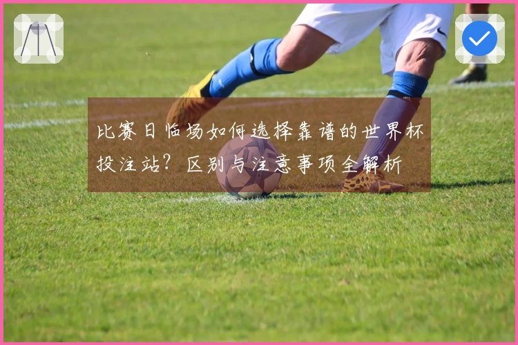比赛日临场如何选择靠谱的世界杯投注站？区别与注意事项全解析