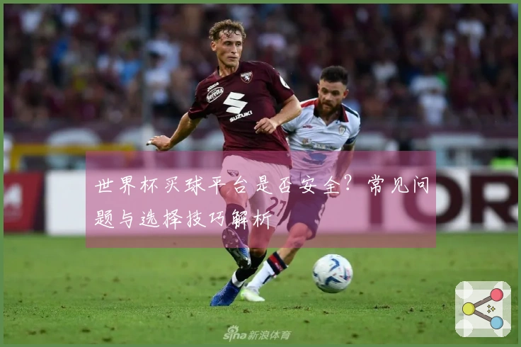世界杯买球平台是否安全？常见问题与选择技巧解析