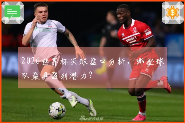 2026世界杯买球盘口分析，哪些球队最具盈利潜力？