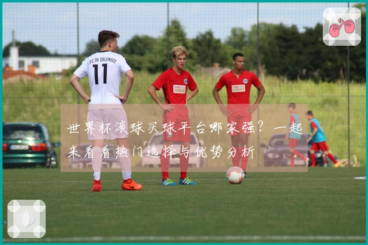 世界杯滚球买球平台哪家强？一起来看看热门选择与优势分析