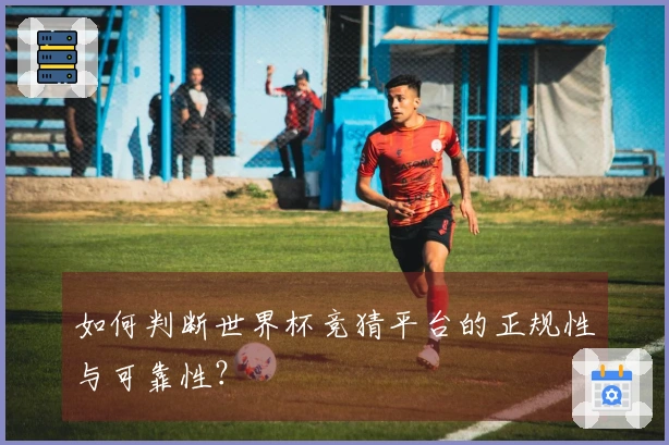 如何判断世界杯竞猜平台的正规性与可靠性？