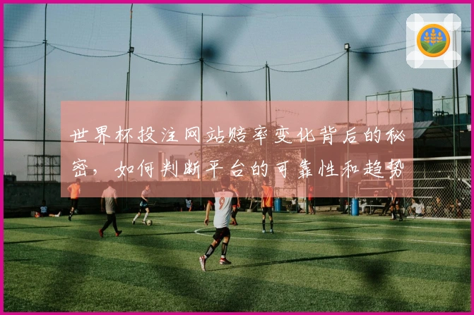 世界杯投注网站赔率变化背后的秘密，如何判断平台的可靠性和趋势？