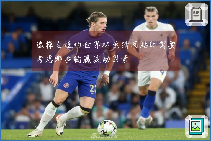 选择合适的世界杯竞猜网站时需要考虑哪些输赢波动因素